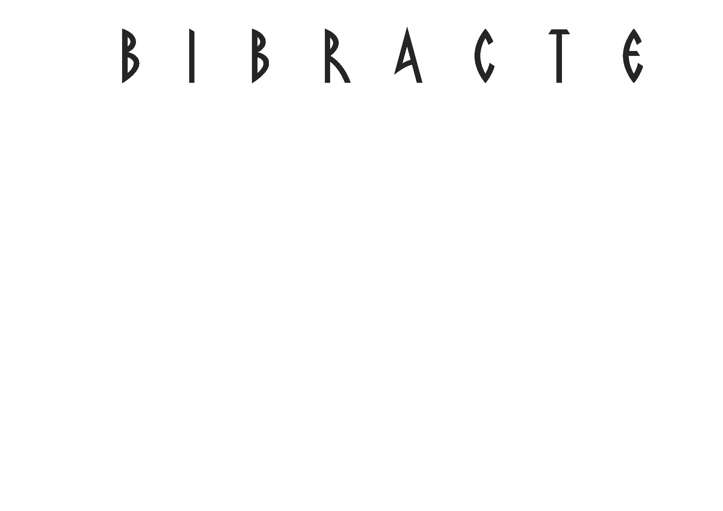 Bibracte enfin dans notre catalogue !